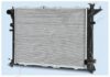 ASHIKA RDA283066 Radiator, engine cooling